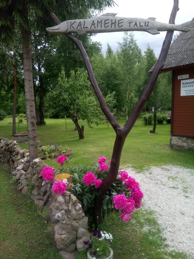 Kalamehe Farmstay Alatskivi Eksteriør billede