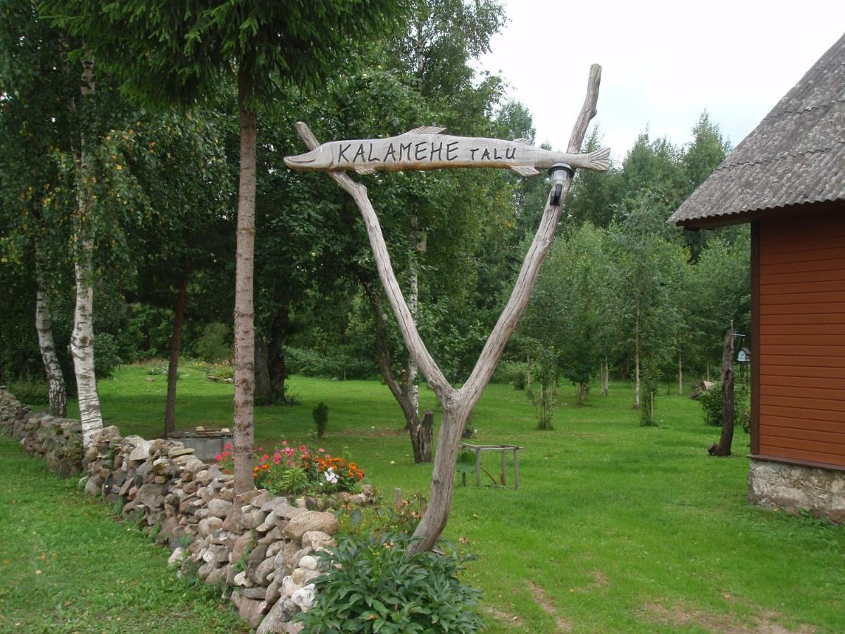 Kalamehe Farmstay Alatskivi Eksteriør billede